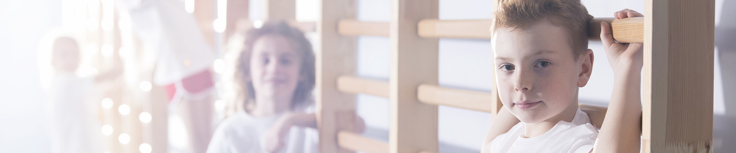 Banner Sprossenwände