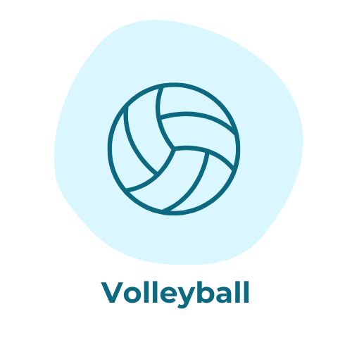 Volleyball icon