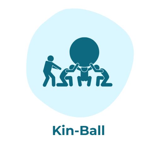 Kin-Ball Icon