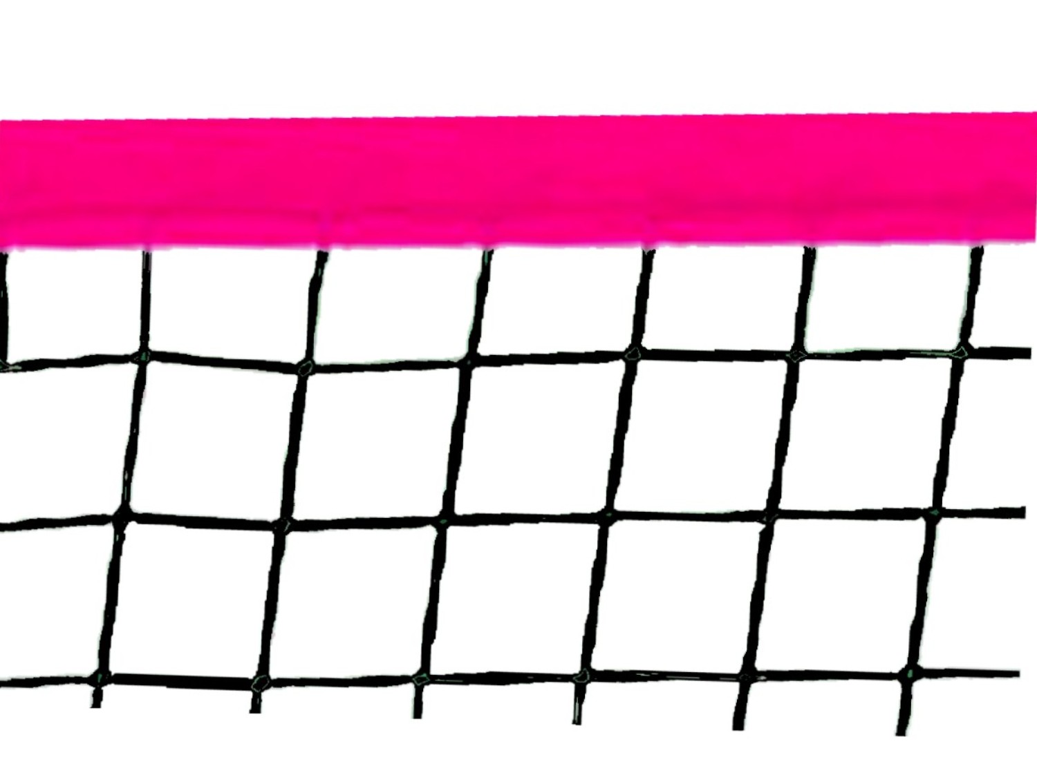 Beach Volleyball Trainingsnetz