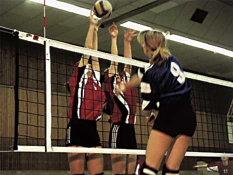 Volleyball-Turniernetz DVV I - Bild 2 - Vergrößern