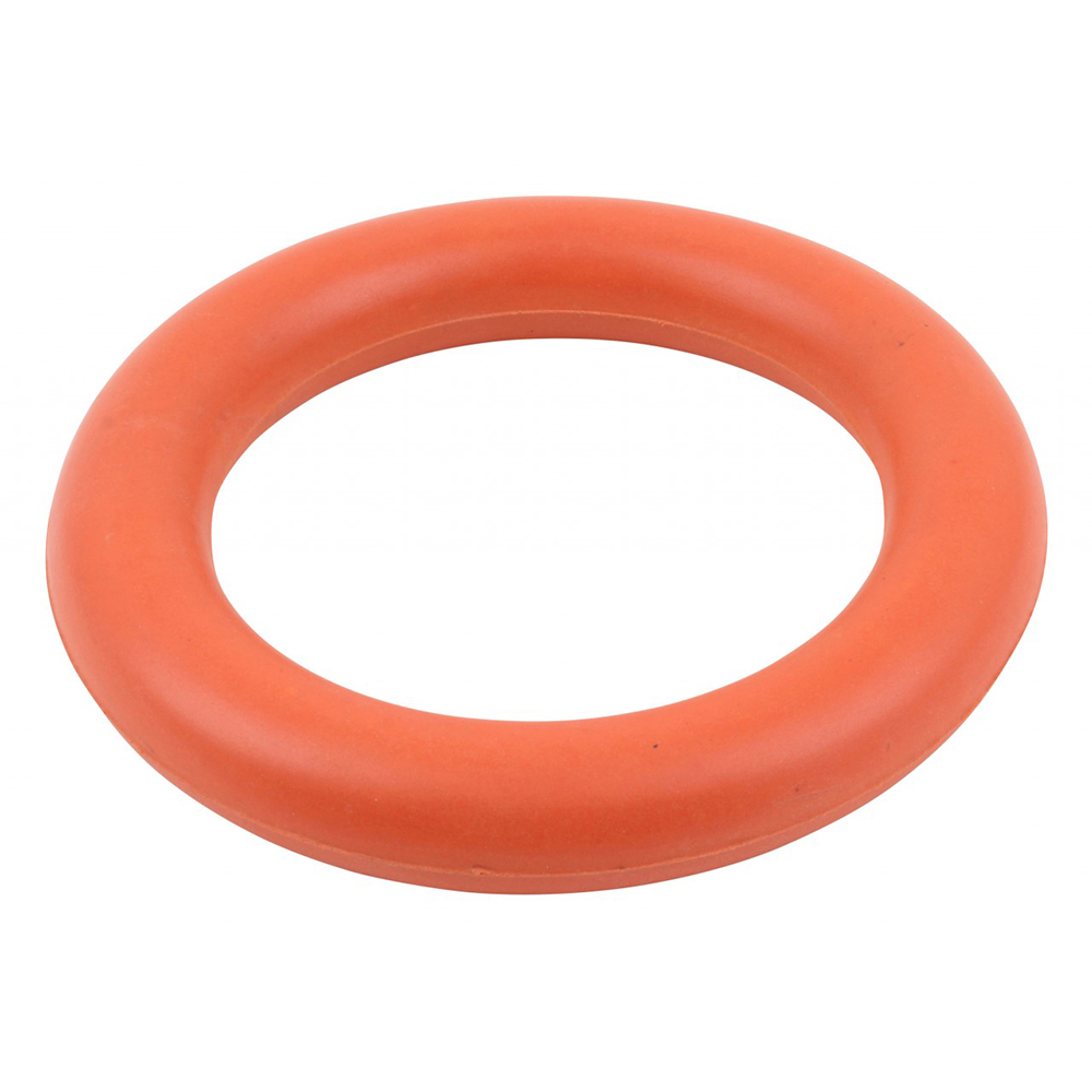 Wurfring für das Deutsche Sportabzeichen