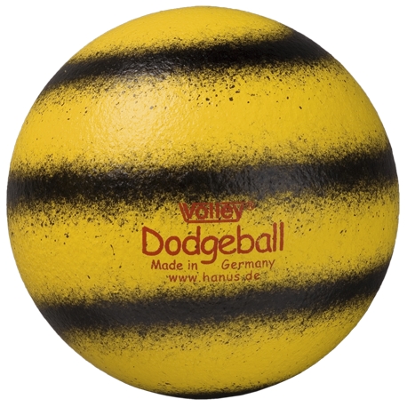 VOLLEY® Dodgeball