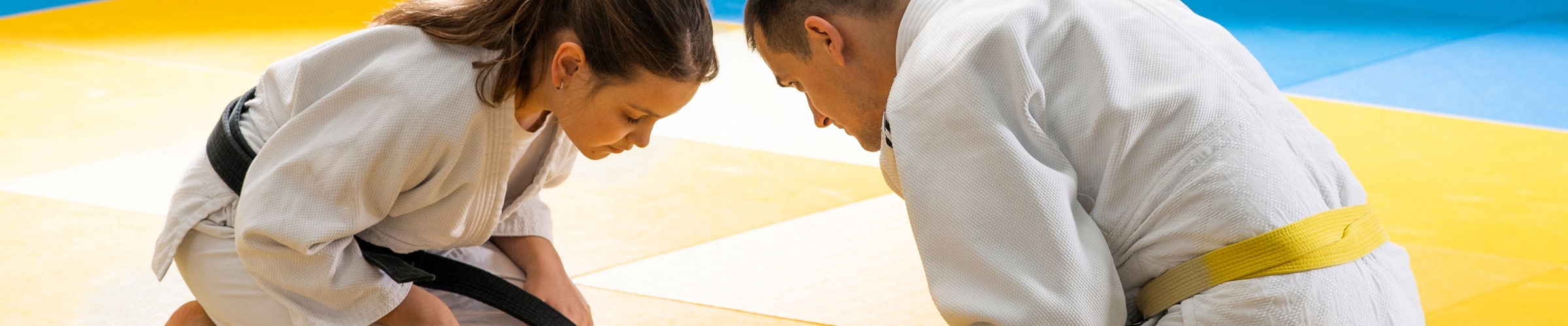 Banner judo