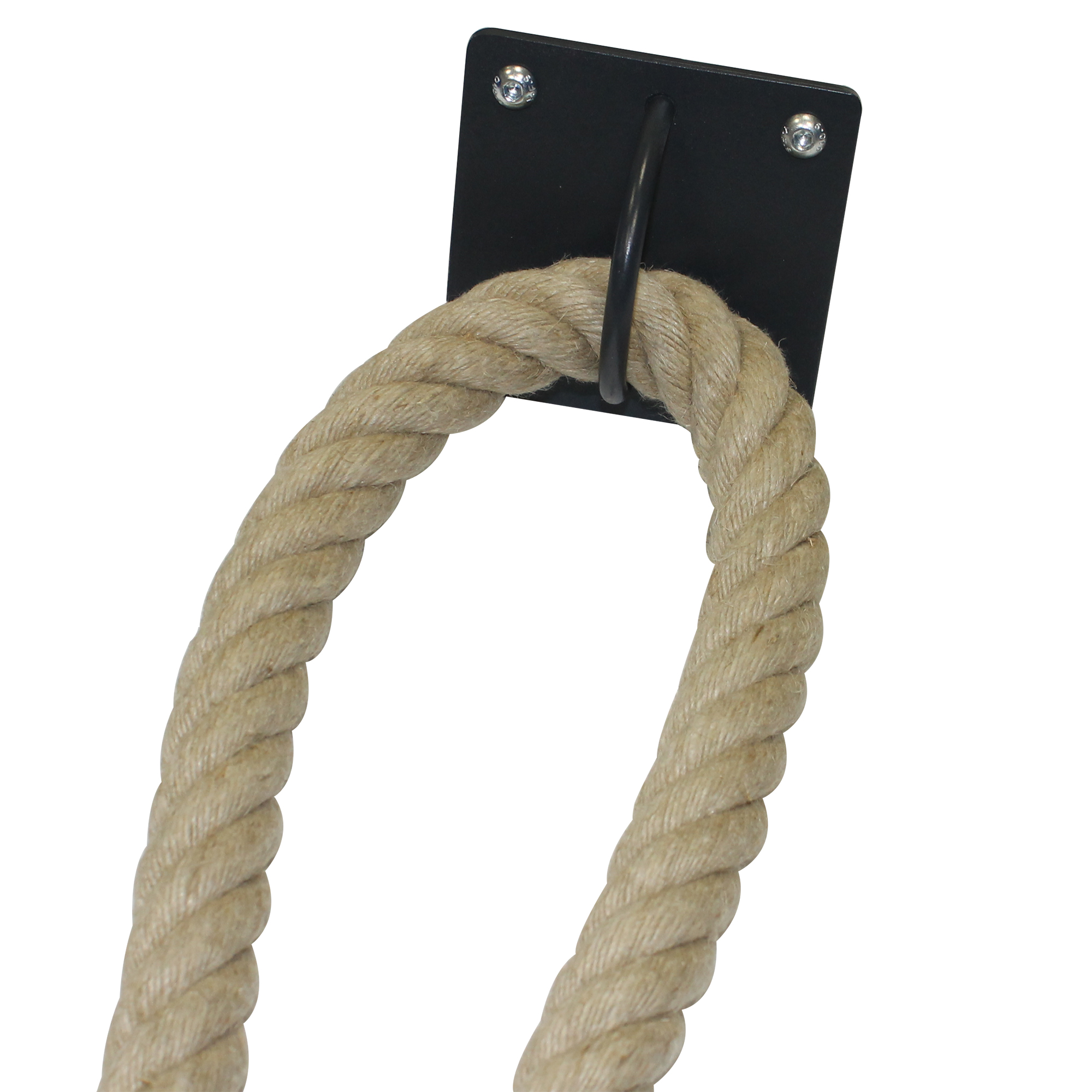 Wandanker mit großer Öse für Battle Rope