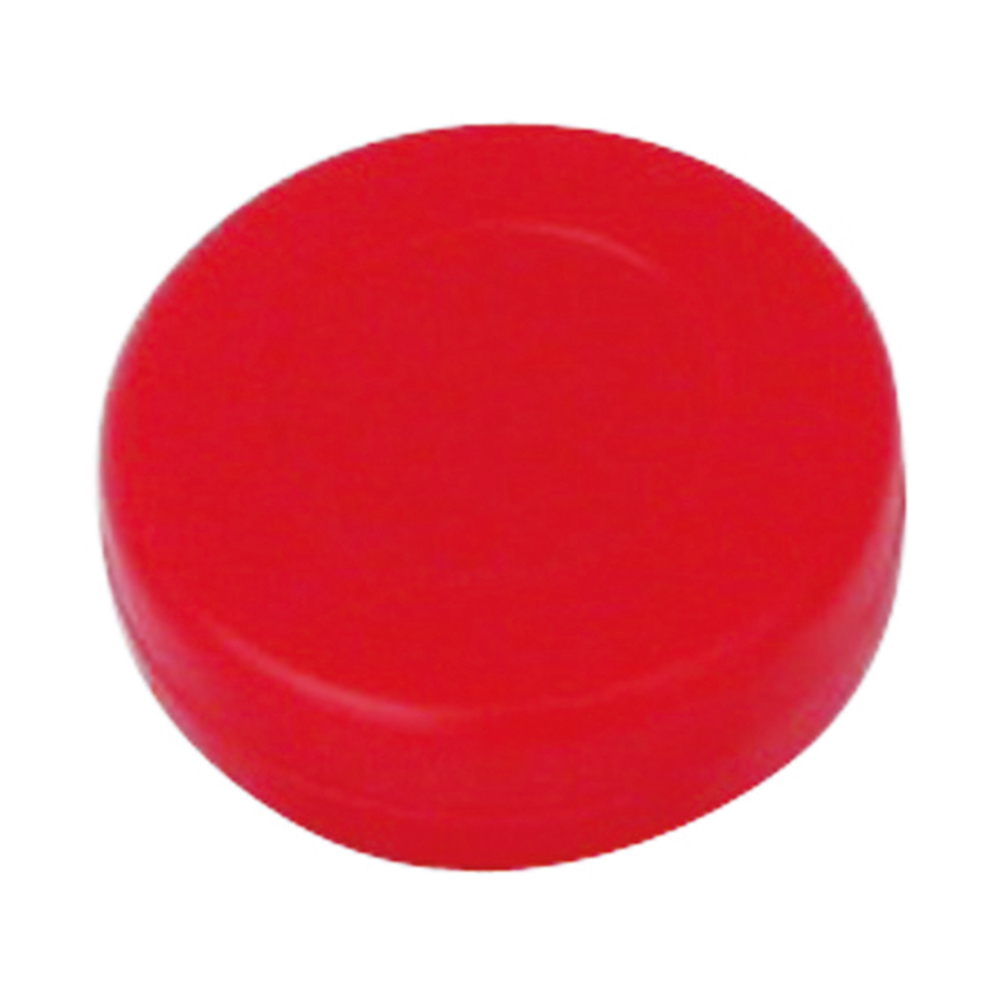 Hockey Puck
