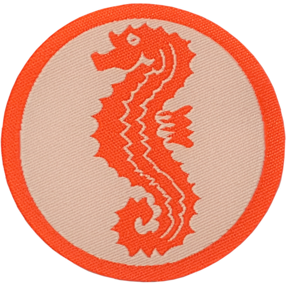 Frühschwimmer-Abzeichen Seepferdchen