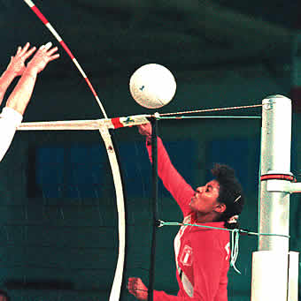 Volleyball-Antennengarnitur - Bild 2 - Vergrößern