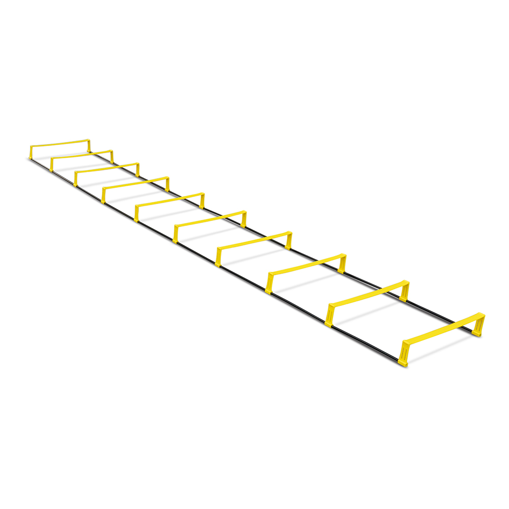 Koordinations- und Hürdenleiter 2 in 1